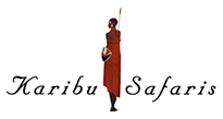 Logo Karibu